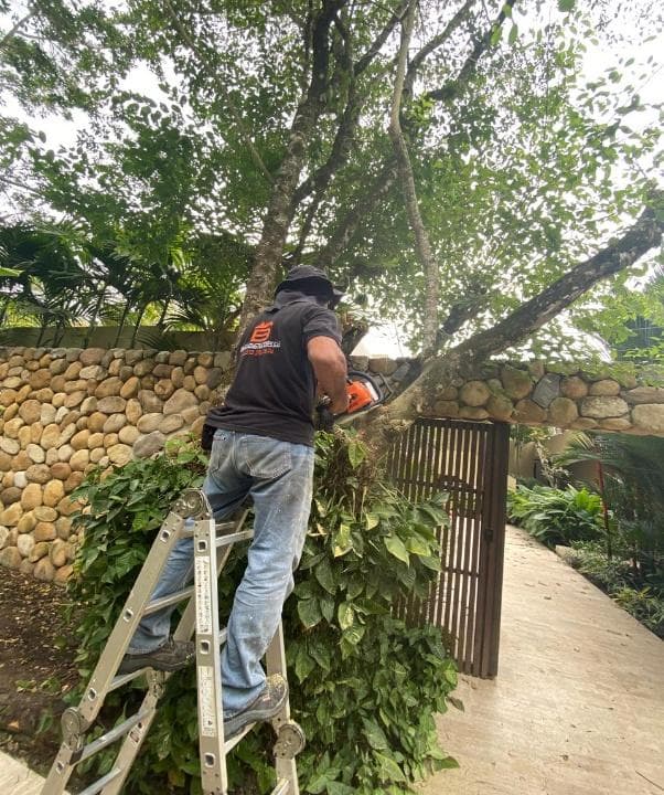 Mantenimiento de carpintería 8